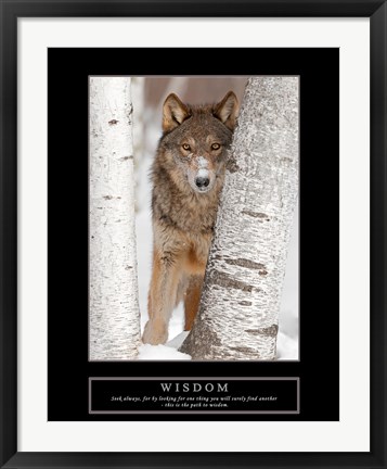 Framed Wisdom - Gray Wolf Print