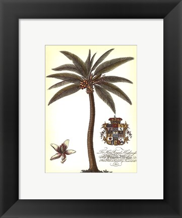 Framed Palm and Crest I Print