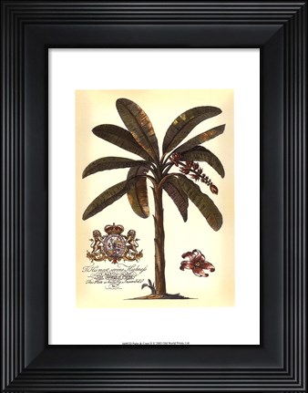 Framed Palm and Crest II Print