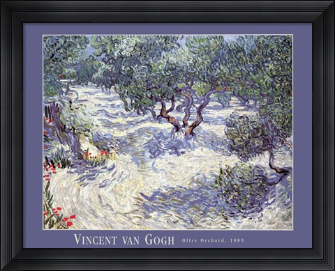 Framed Olive Orchard Print