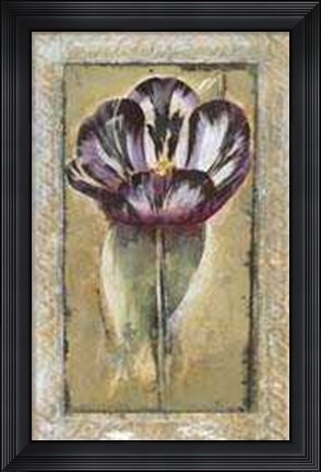 Framed Tulipa Print