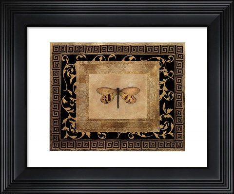 Framed Dragon Fly II Print