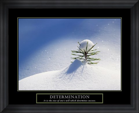 Framed Determination - Little Pine Print