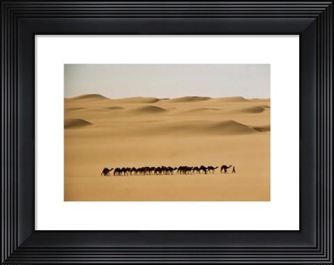 Framed Camel Train, Mauritania Print