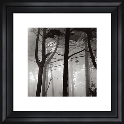 Framed Forest I Print