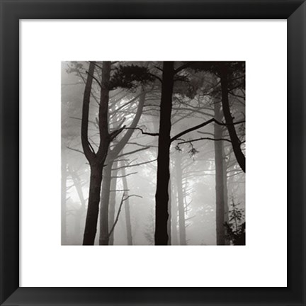 Framed Forest I Print