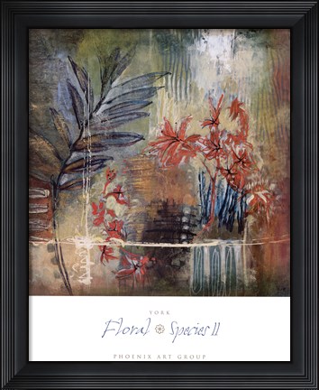 Framed Floral Species II Print