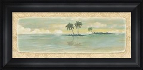 Framed Oasis II Print
