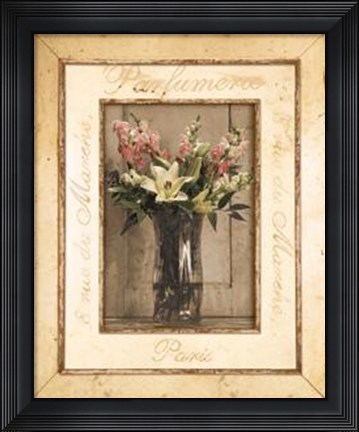 Framed Nostalgia II Print