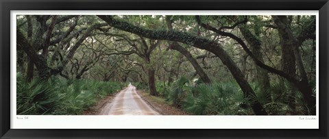 Framed Main St Print