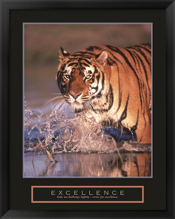 Framed Excellence - Bengal Tiger Print