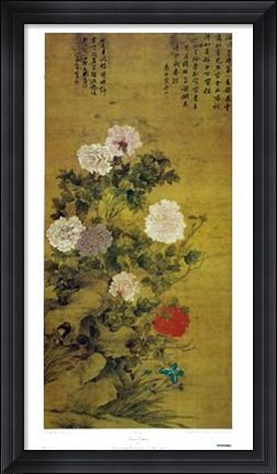 Framed Chinese Peonies (Ch&#39;ing Dynasty 17-18Th Print