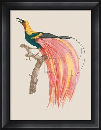 Framed Le Petit Paradis Emeraude Print