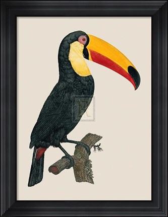 Framed Le Toco Print