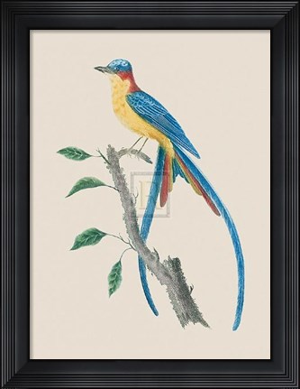 Framed Le Tyian Savana Print