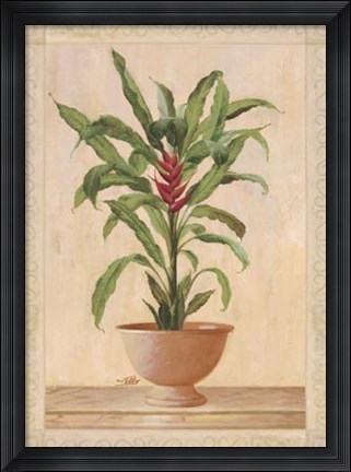 Framed Potted Palm II Print