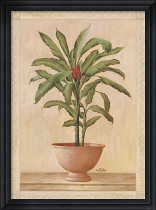 Framed Potted Palm I Print