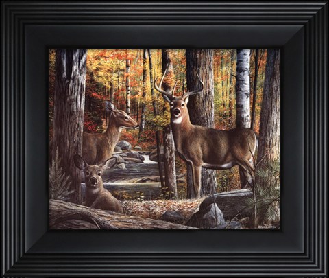 Framed Broken Silence II Print