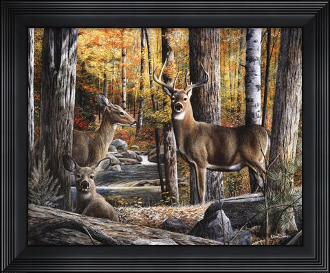 Framed Broken Silence II Print