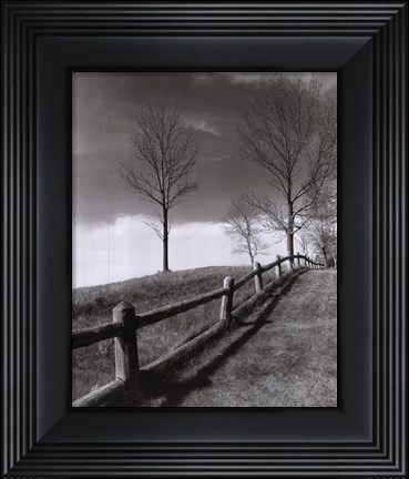 Framed Fences And Trees, Empire, Michigan Print