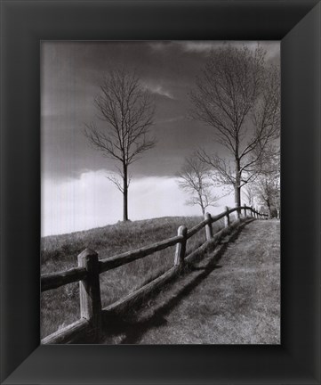 Framed Fences And Trees, Empire, Michigan Print