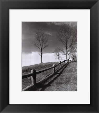 Framed Fences And Trees, Empire, Michigan Print