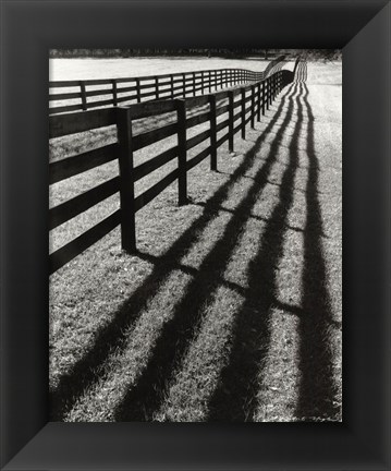 Framed Fences And Shadows, Florida Print