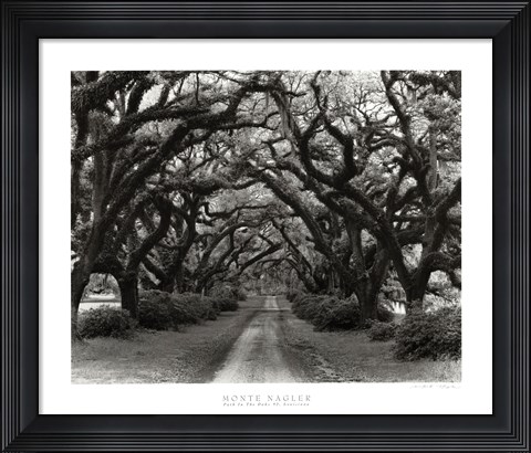 Framed Path In The Oaks #2, Louisiana Print