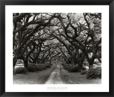 Framed Path In The Oaks #2, Louisiana Print