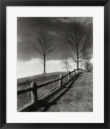 Framed Fences And Trees, Empire, Michigan Print