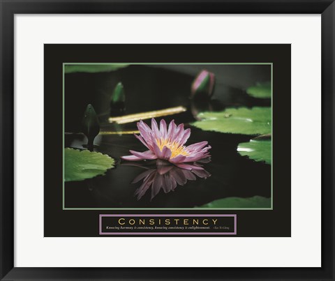 Framed Consistency - Pond Flower Print