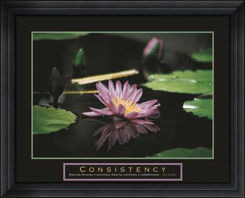 Framed Consistency - Pond Flower Print