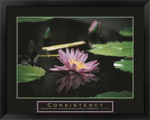 Framed Consistency - Pond Flower Print