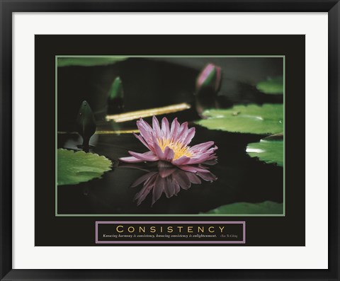 Framed Consistency - Pond Flower Print