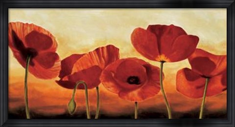Framed In The Sun Print