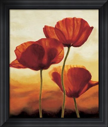 Framed Poppies In Sunlight I Print