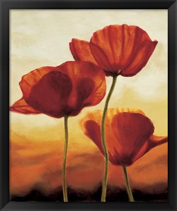 Framed Poppies In Sunlight I Print