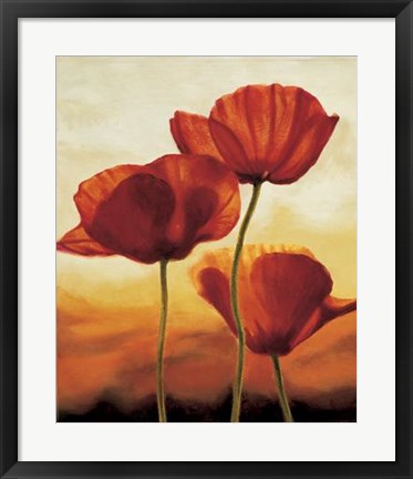 Framed Poppies In Sunlight I Print