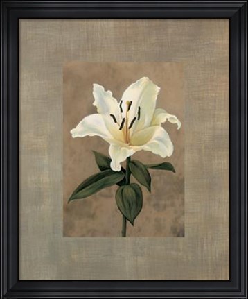 Framed Lily Print