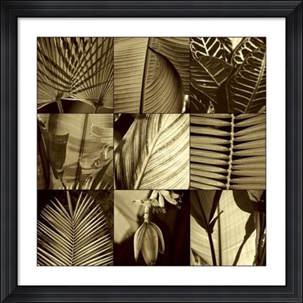 Framed Tropical Leaves I Print