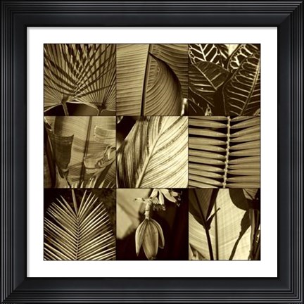 Framed Tropical Leaves I Print
