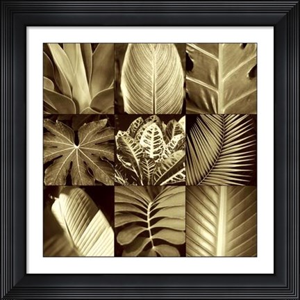 Framed Tropical Leaves II Print