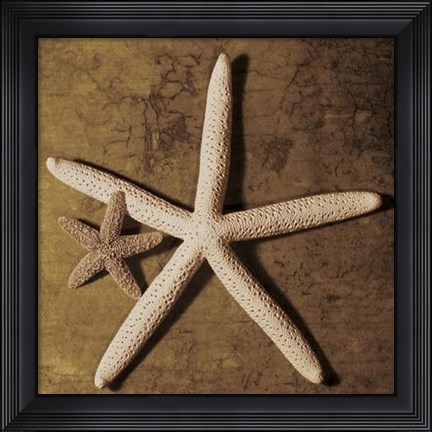 Framed Starfish Print