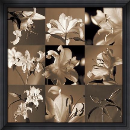 Framed Lily Garden Print