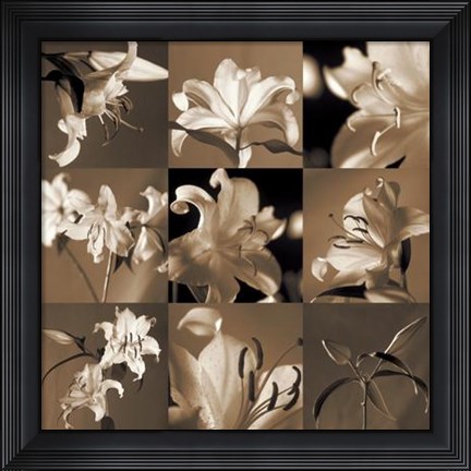 Framed Lily Garden Print