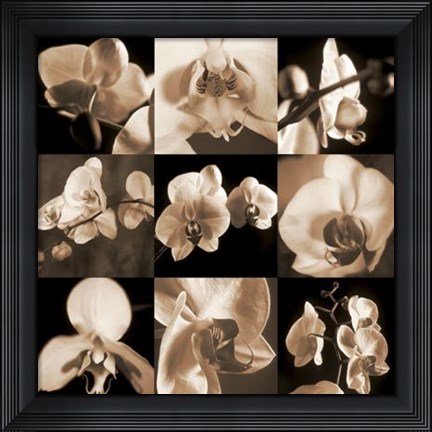 Framed Orchid Bouquet Print
