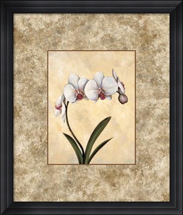 Framed Perfection I Print