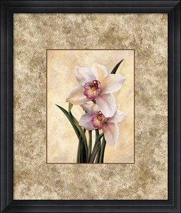 Framed Perfection II Print