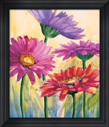 Framed Gerbere In Rosa Print