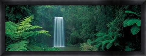 Framed Millaa Millaa Falls, Queensland, Austral Print